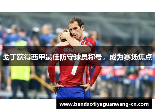 戈丁获得西甲最佳防守球员称号，成为赛场焦点